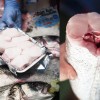 Preparar el pescado para que les encante a los niños Pescado de proximidad